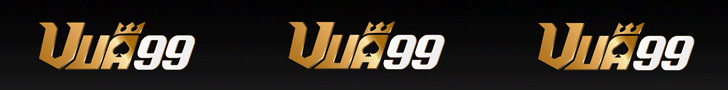 banner VN86